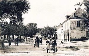 2303- Douera - Avenue de l'hopital - 1911
